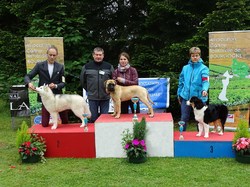 CACS SAINT-AMBREUIL 2017