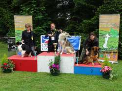 CACS SAINT-AMBREUIL 2017