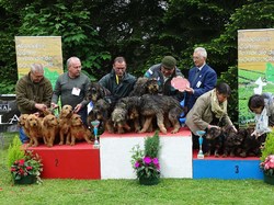 CACS SAINT-AMBREUIL 2017
