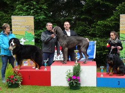 CACS SAINT-AMBREUIL 2017