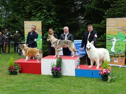 CACS SAINT-AMBREUIL 2017