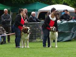 CACS SAINT-AMBREUIL 2017