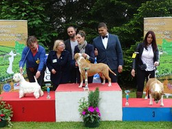 CACS SAINT-AMBREUIL 2017