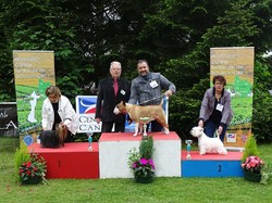 CACS SAINT-AMBREUIL 2017