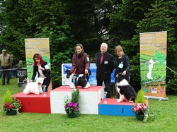 CACS SAINT-AMBREUIL 2017