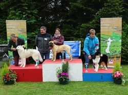 CACS SAINT-AMBREUIL 2017