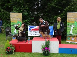 CACS SAINT-AMBREUIL 2017