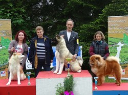 CACS SAINT-AMBREUIL 2017