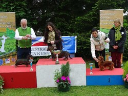 CACS SAINT-AMBREUIL 2017