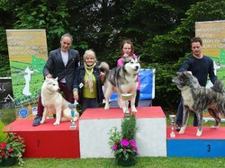 CACS SAINT-AMBREUIL 2017