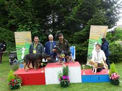 CACS SAINT-AMBREUIL 2017