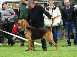 CACS SAINT-AMBREUIL 2017