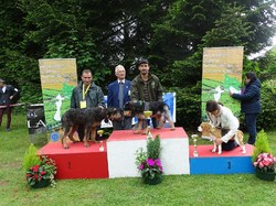 CACS SAINT-AMBREUIL 2017