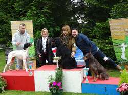 CACS SAINT-AMBREUIL 2017