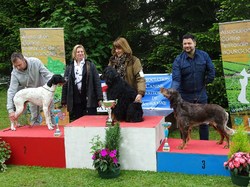 CACS SAINT-AMBREUIL 2017