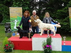 CACS SAINT-AMBREUIL 2017