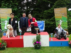 CACS SAINT-AMBREUIL 2017