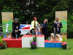 CACS SAINT-AMBREUIL 2017