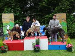 CACS SAINT-AMBREUIL 2017