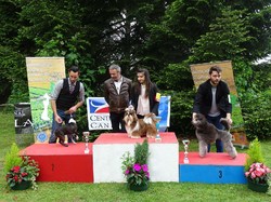 CACS SAINT-AMBREUIL 2017