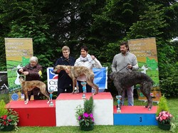 CACS SAINT-AMBREUIL 2017