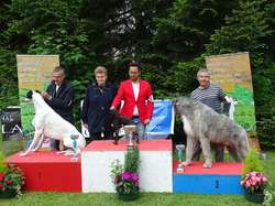 CACS SAINT-AMBREUIL 2017