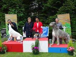 CACS SAINT-AMBREUIL 2017