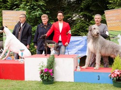 CACS SAINT-AMBREUIL 2017