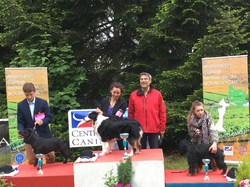 CACS SAINT-AMBREUIL 2017