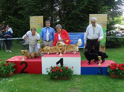 CACS SAINT-AMBREUIL 2018
