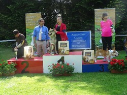 CACS SAINT-AMBREUIL 2018