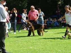 CACS SAINT-AMBREUIL 2018