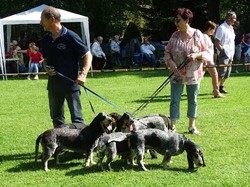 CACS SAINT-AMBREUIL 2018