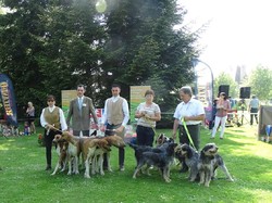 CACS SAINT-AMBREUIL 2018