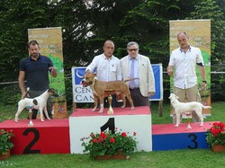 CACS SAINT-AMBREUIL 2018