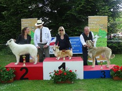 CACS SAINT-AMBREUIL 2018