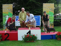 CACS SAINT-AMBREUIL 2018