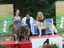 CACS SAINT-AMBREUIL 2018