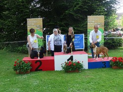 CACS SAINT-AMBREUIL 2018