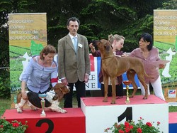 CACS SAINT-AMBREUIL 2018