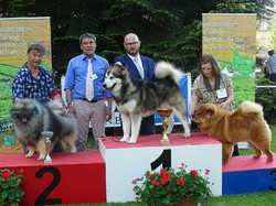 CACS SAINT-AMBREUIL 2018