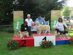 CACS SAINT-AMBREUIL 2018