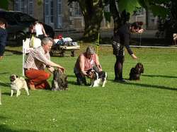 CACS SAINT-AMBREUIL 2018