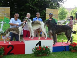 CACS SAINT-AMBREUIL 2018