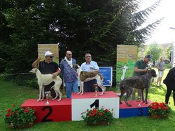 CACS SAINT-AMBREUIL 2018