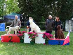 CACS SAINT-AMBREUIL 2019