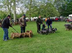 CACS SAINT-AMBREUIL 2019