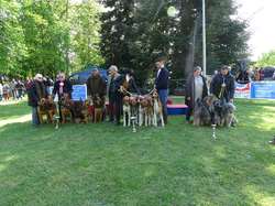 CACS SAINT-AMBREUIL 2019