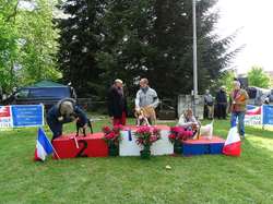 CACS SAINT-AMBREUIL 2019