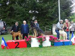 CACS SAINT-AMBREUIL 2019